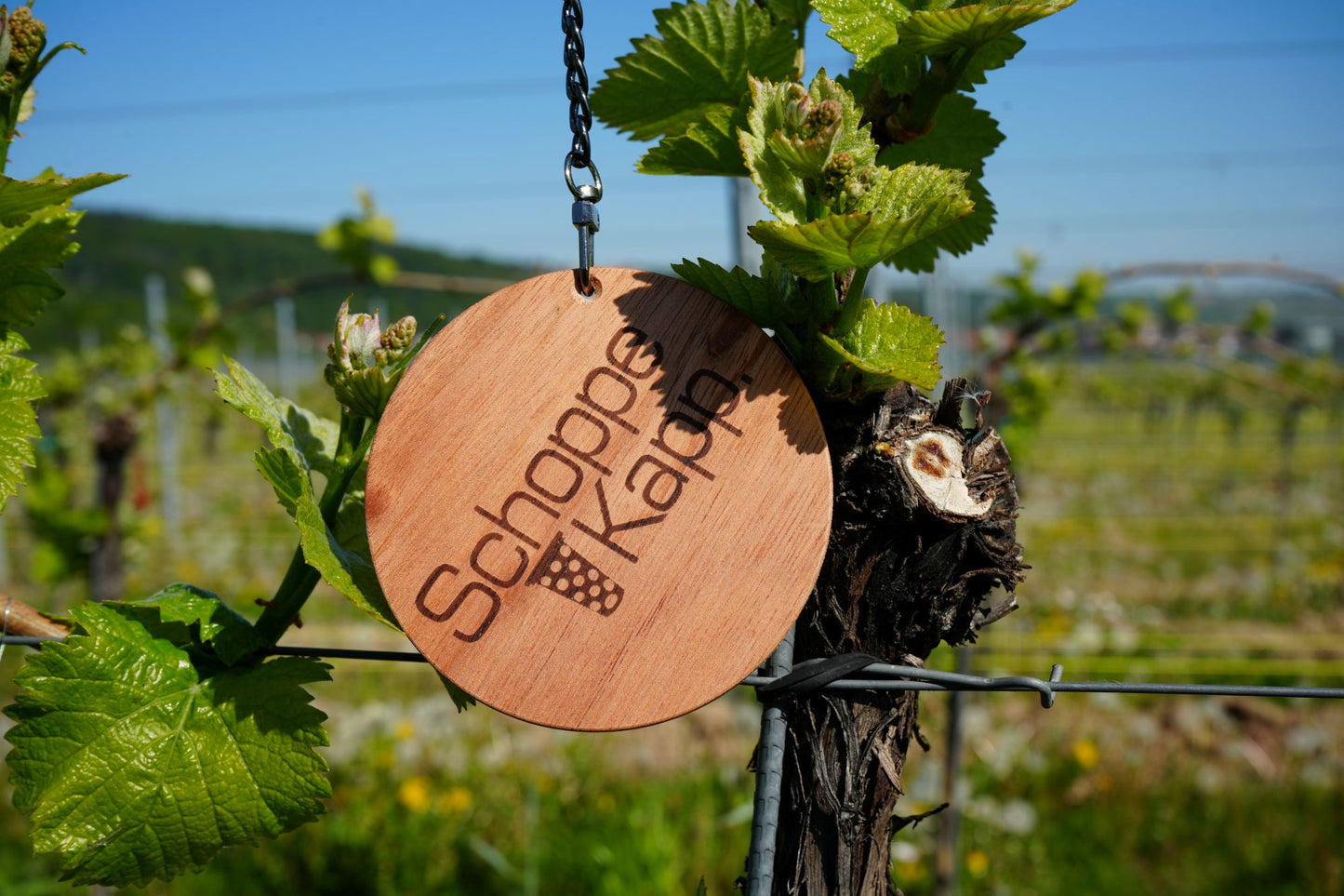 Maranti - SchoppeKapp Deckel Holz Dubbeglas - Nur Echt mit Silikondichtung